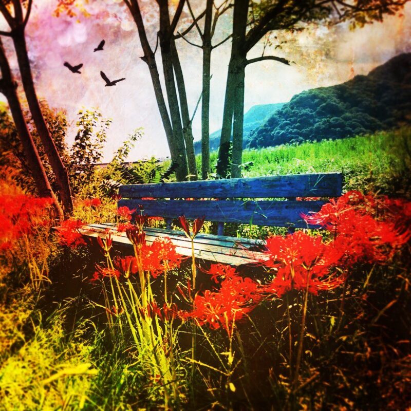 ちゃぷちゃぷらんど