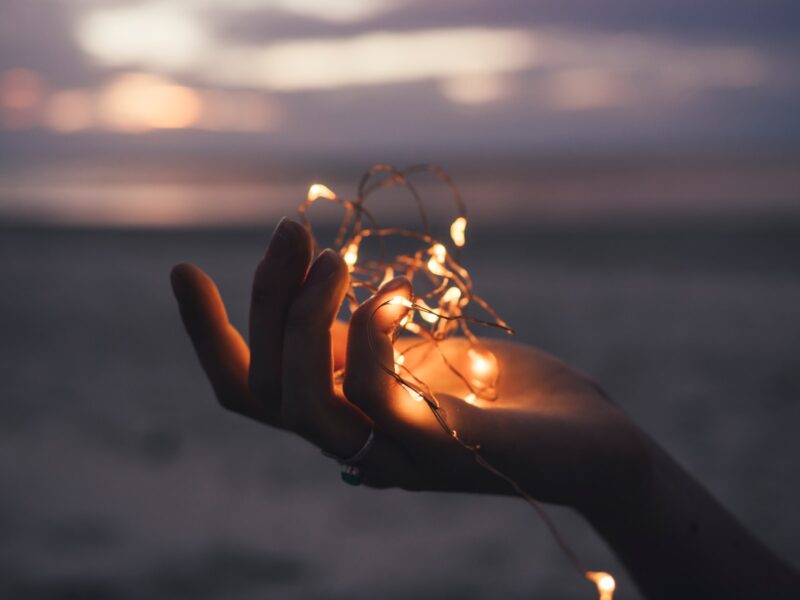 selective focus photography of person holding lighted brown string light
